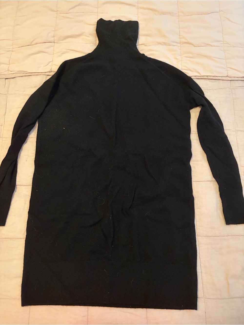 Everlane Cashmere Black Turtleneck Sweater Dress